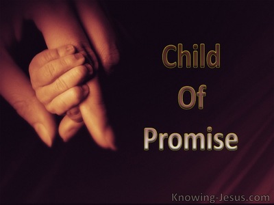 Child of Promise (devotional)10-12 (brown)